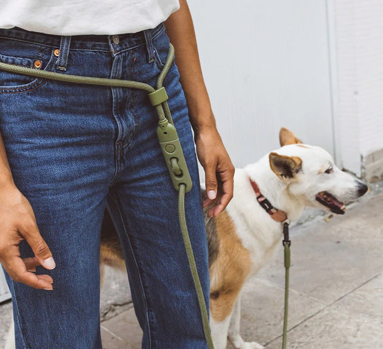 Army Green | Handsfree Leash