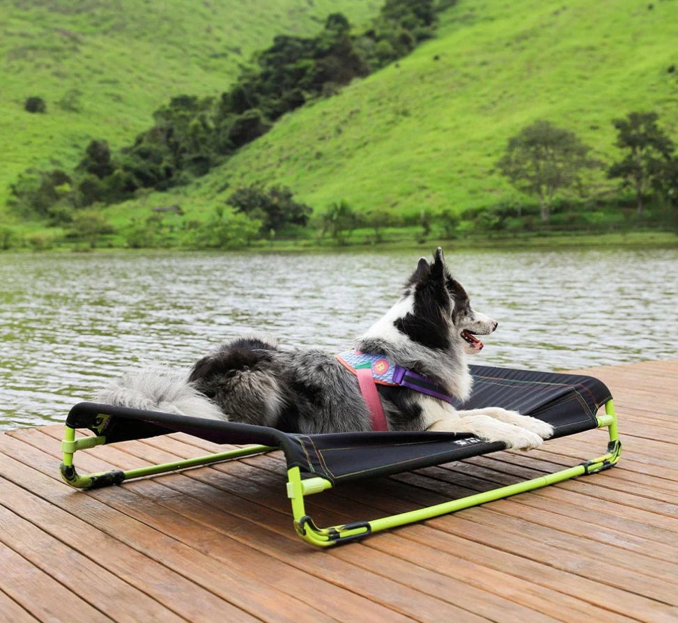 Black | Air Bed