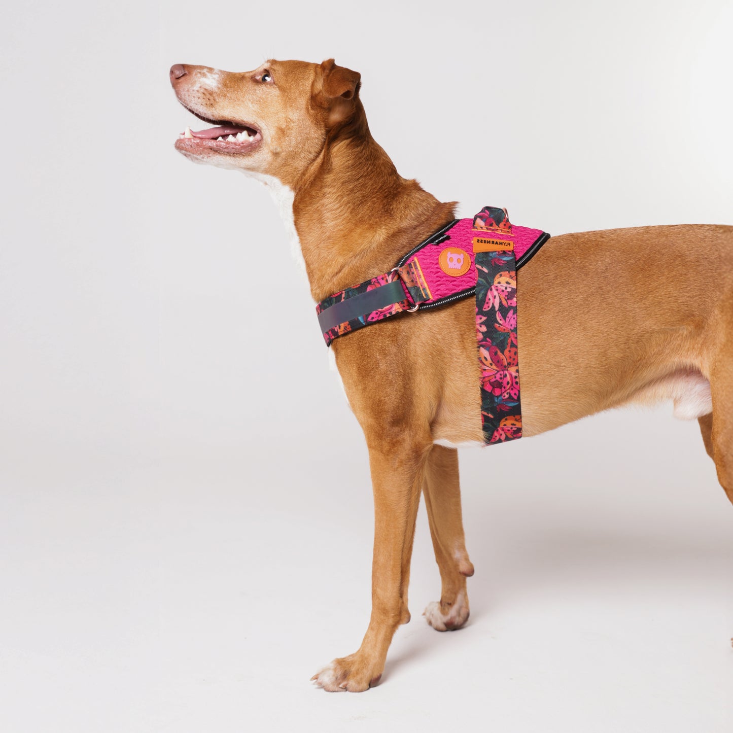 Selva | FlyHarness