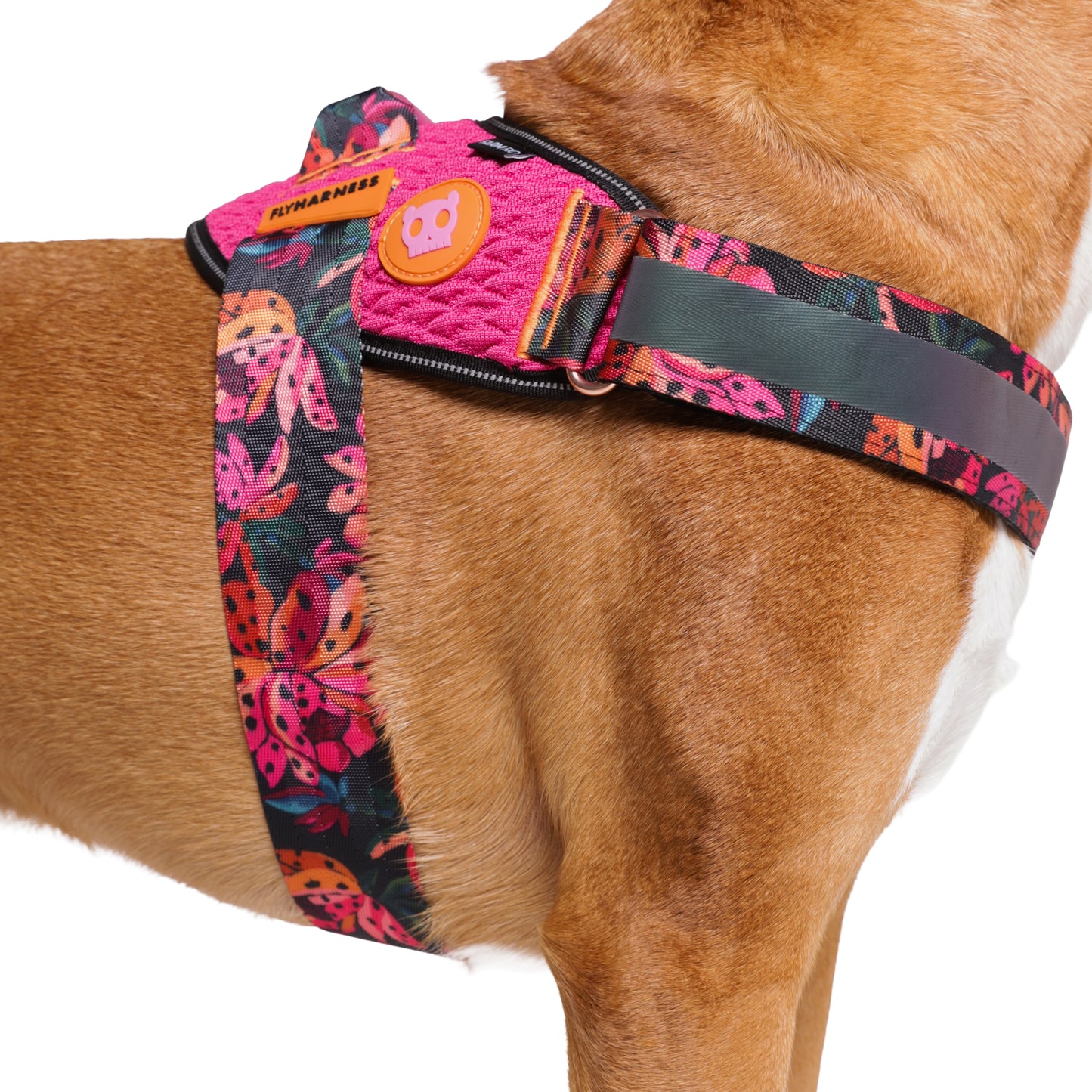 Selva | FlyHarness