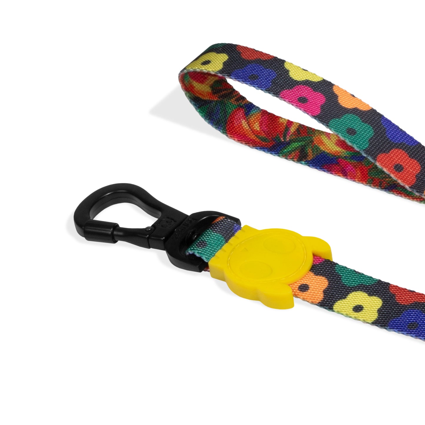 Samba | Leash