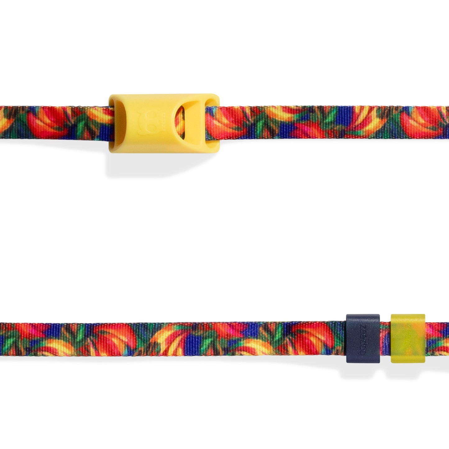 Samba | Long Leash