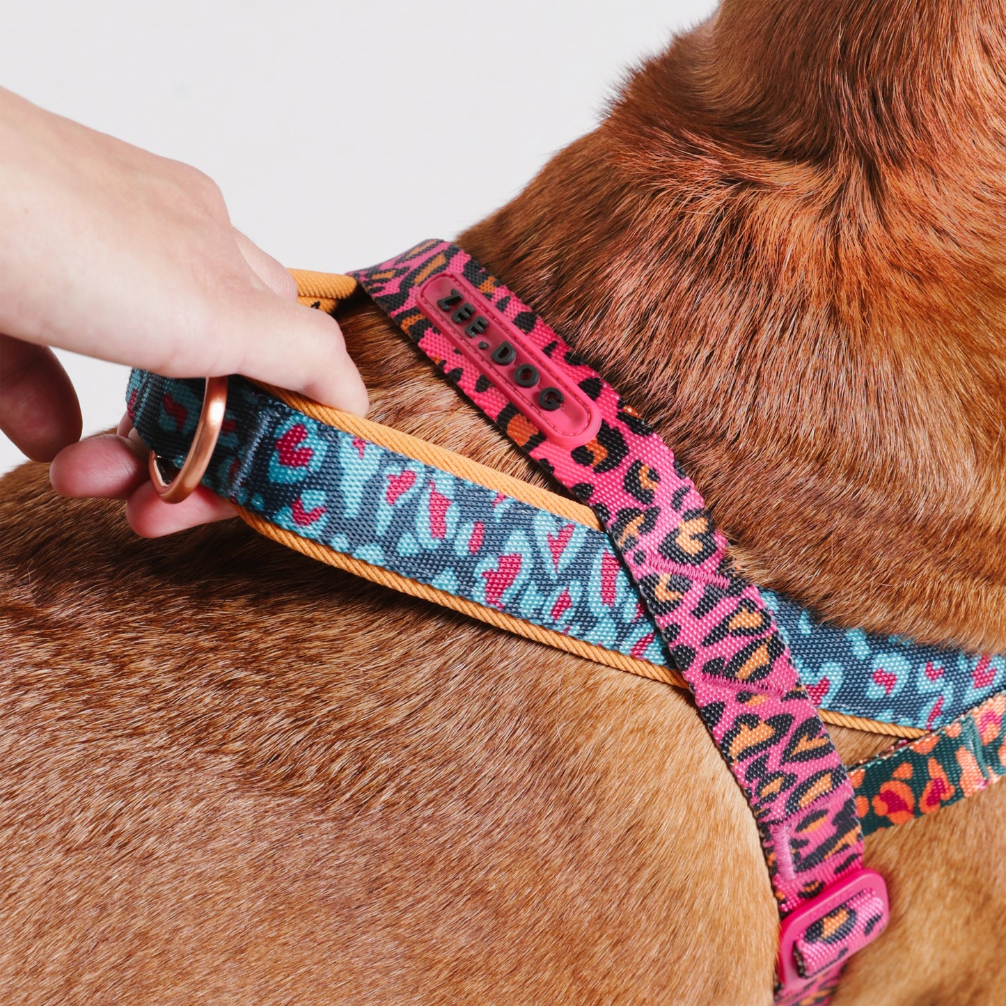 Selva | Softer Walk Harness