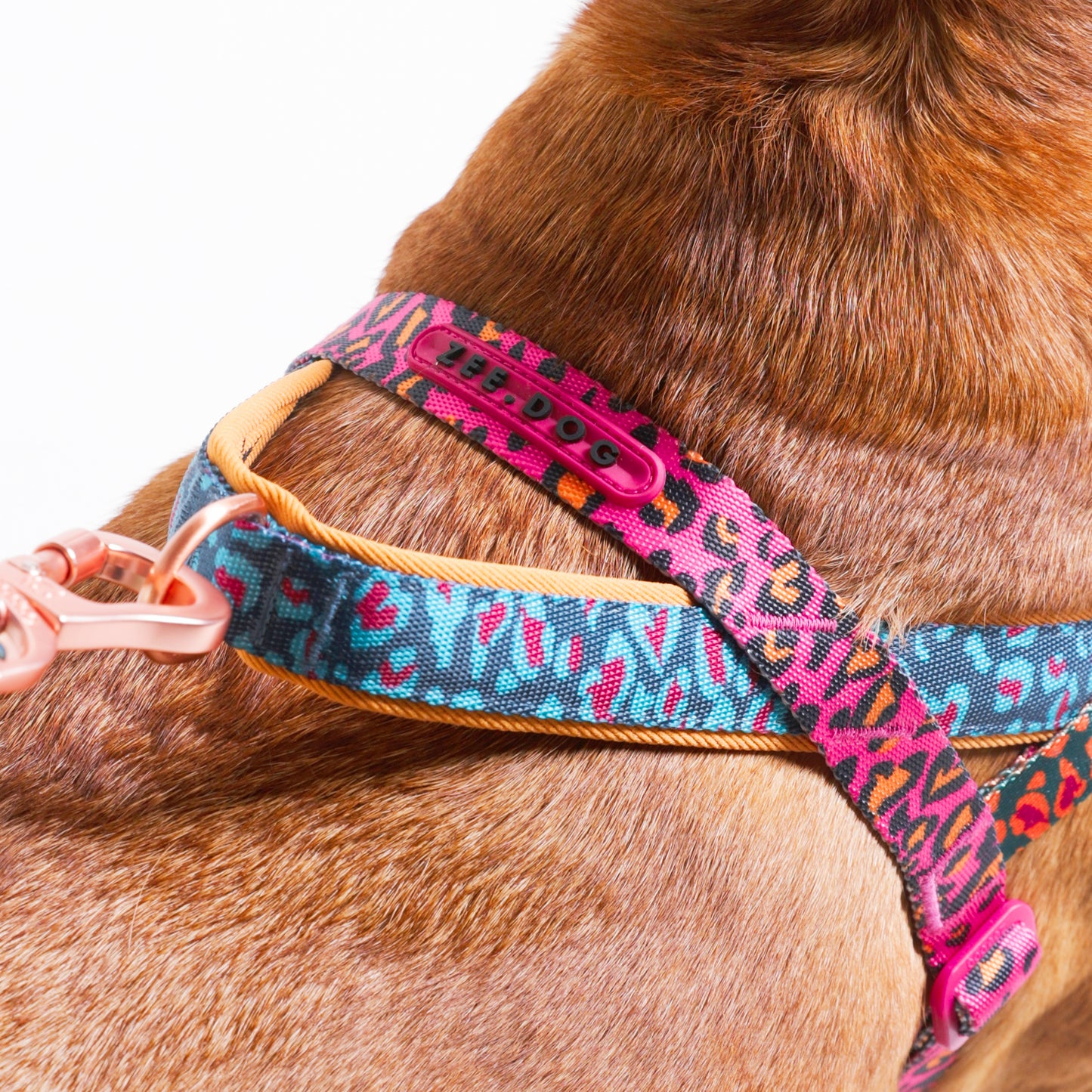 Selva | Softer Walk Harness