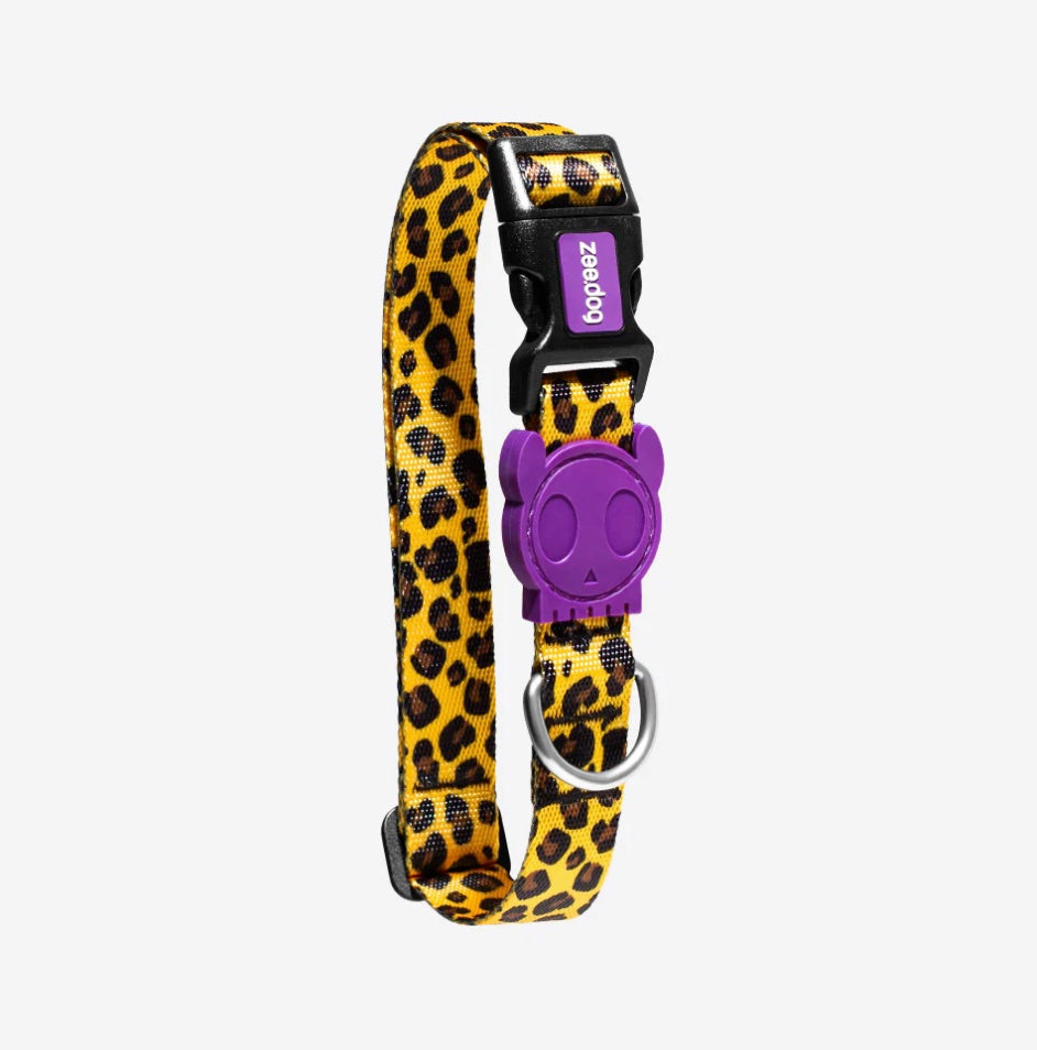 Classic Honey | Collar