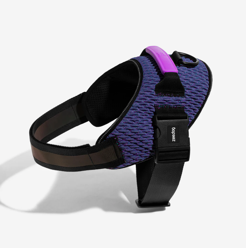 Wicked | FlyHarness