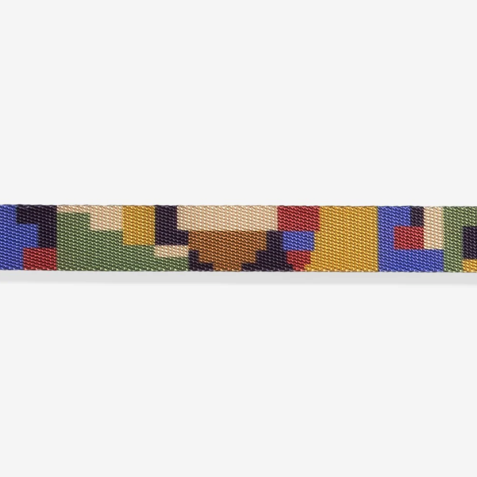 Pixel | Leash
