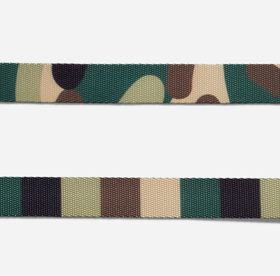 Jet | Leash
