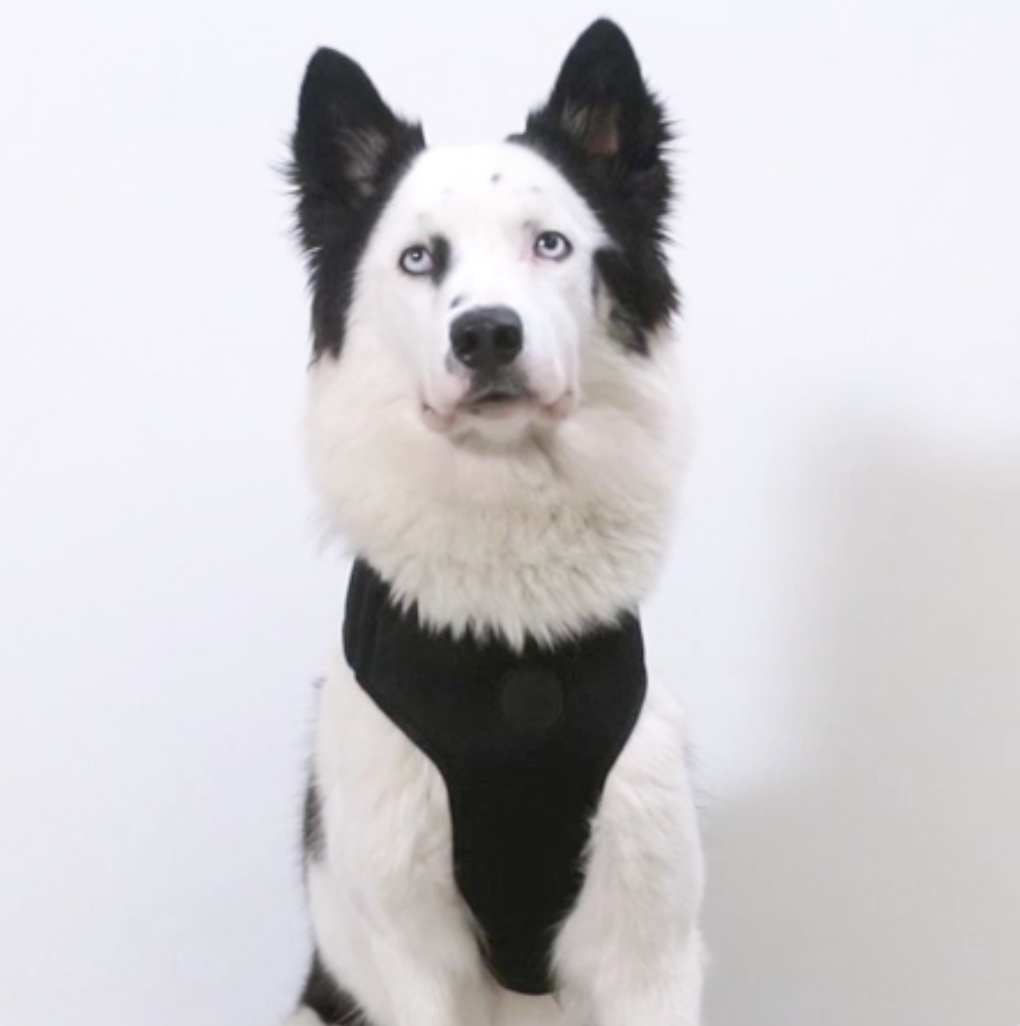 Swell | Adjustable Air Mesh Harness