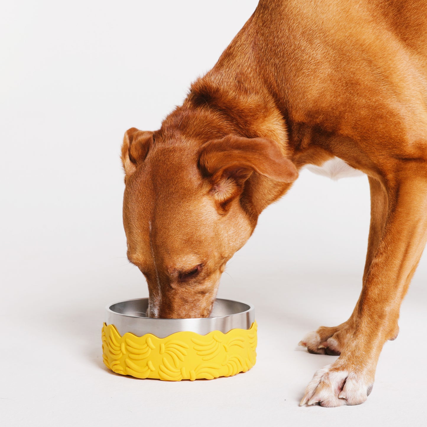 Bossa Banana | Tuff Bowl