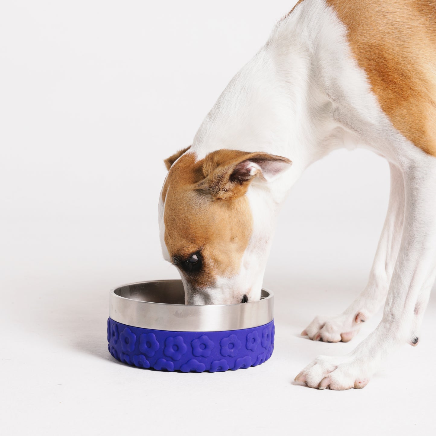 Samba | Tuff Bowl