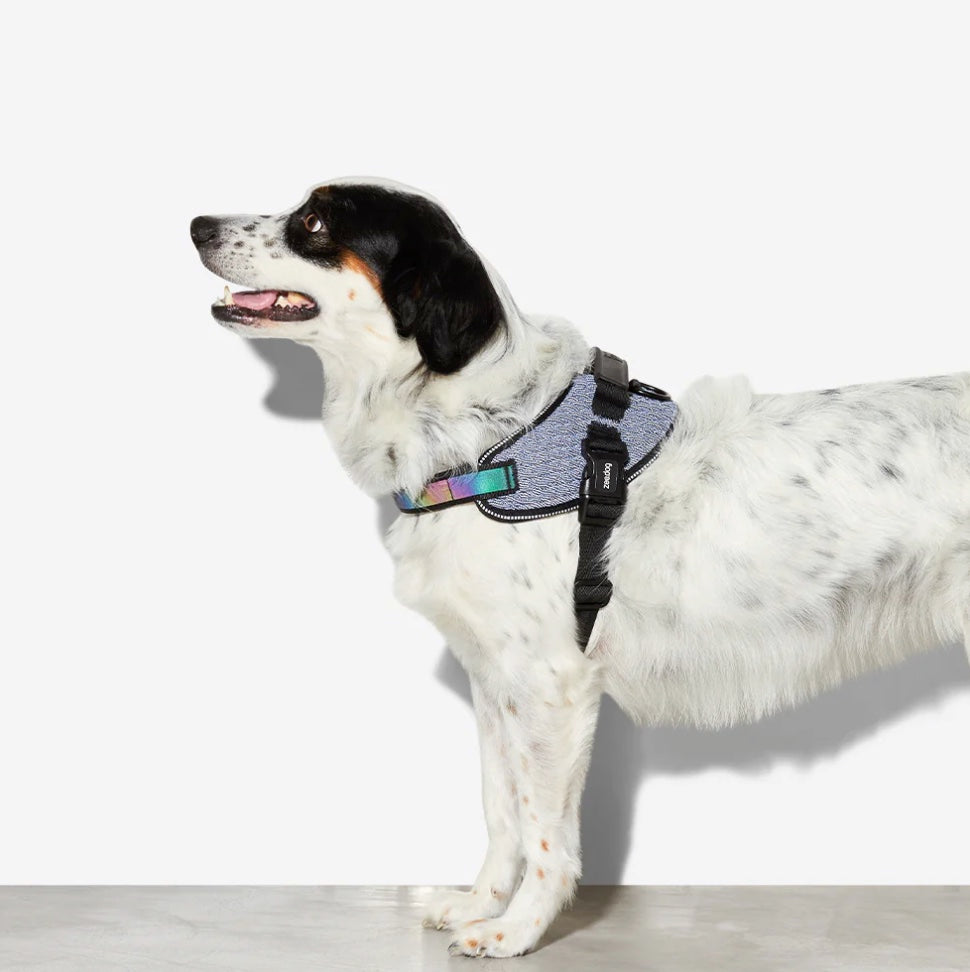 Urban | FlyHarness