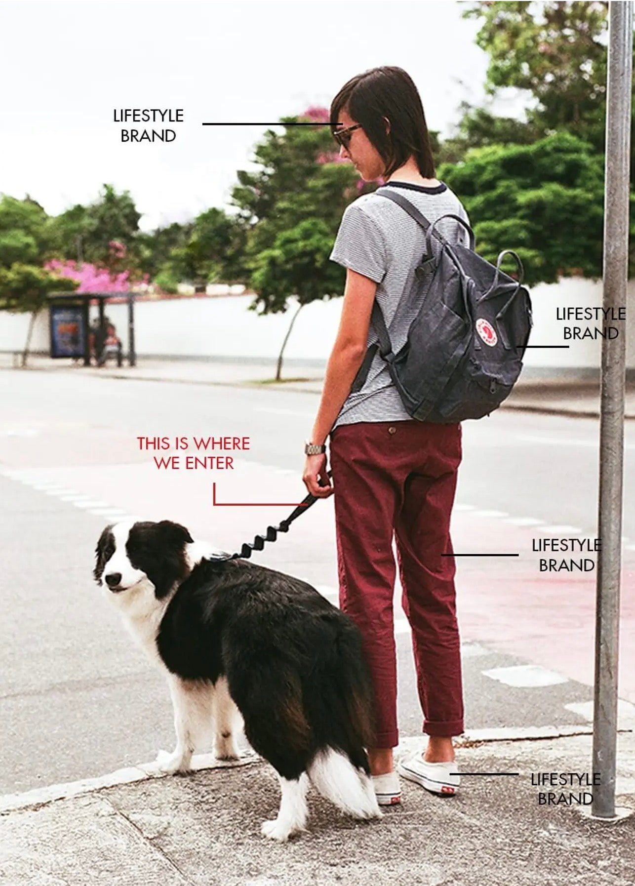 Zee Dog Lifestyle 2024.jpg__PID:8127c4b5-8292-42a2-bcf6-277433441353