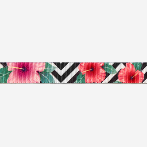 Mahalo | Collar