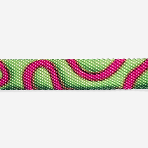 H3D Jelly | Collar