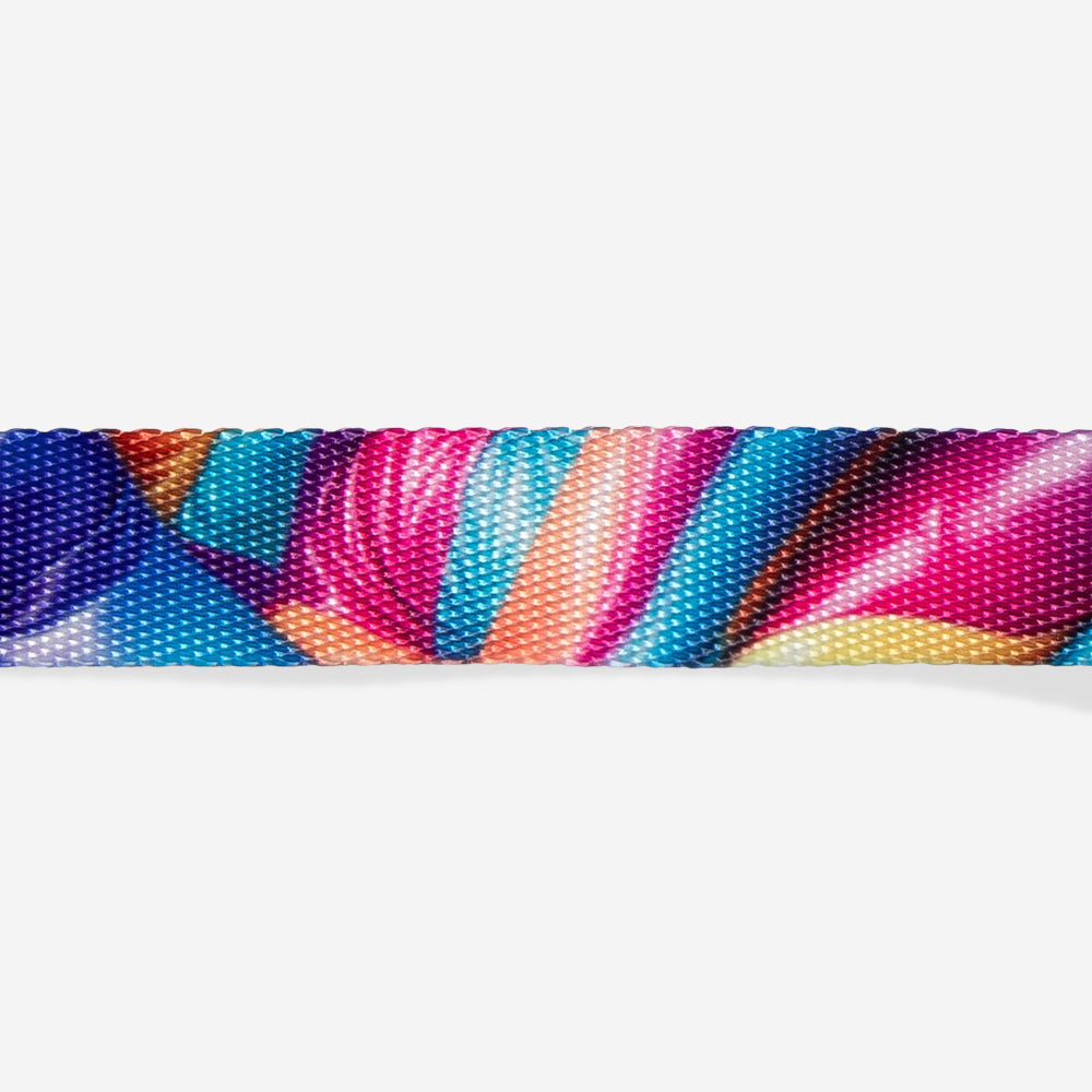 H3D Bounce | Cat Collar