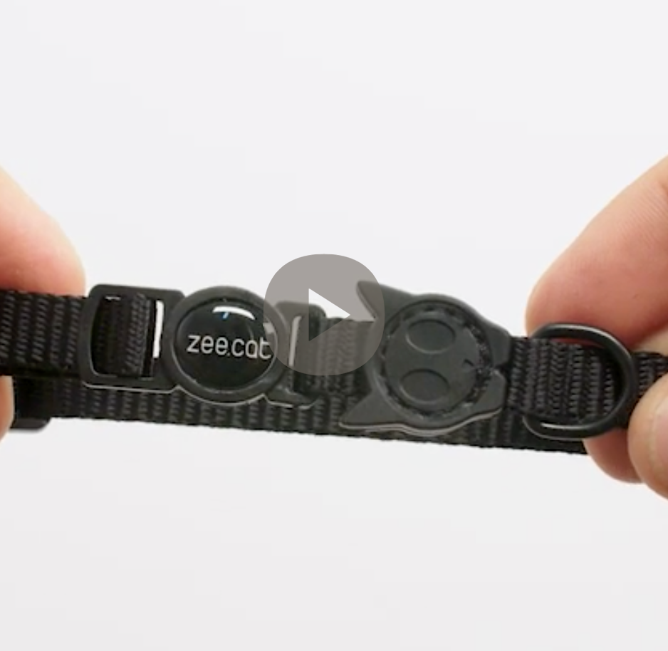 H3D Fly | Cat Collar