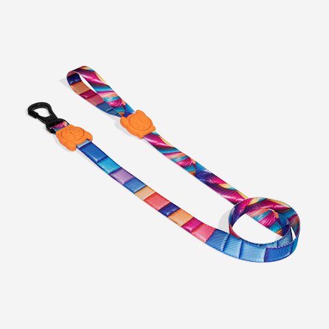 H3D Bounce | Leash