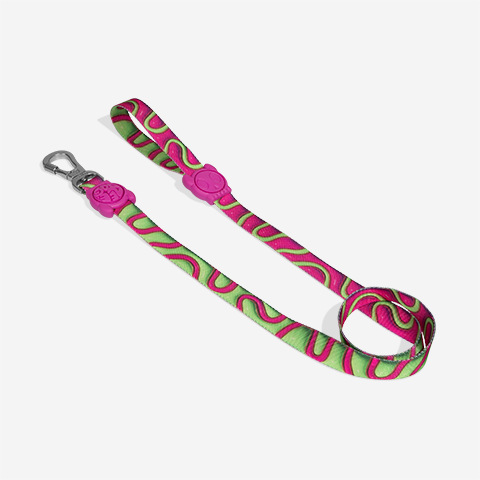 H3D Jelly | Leash