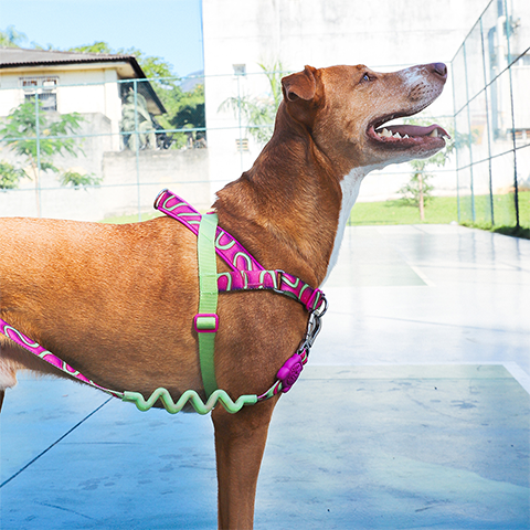 H3D Jelly | Soft Walk Harness