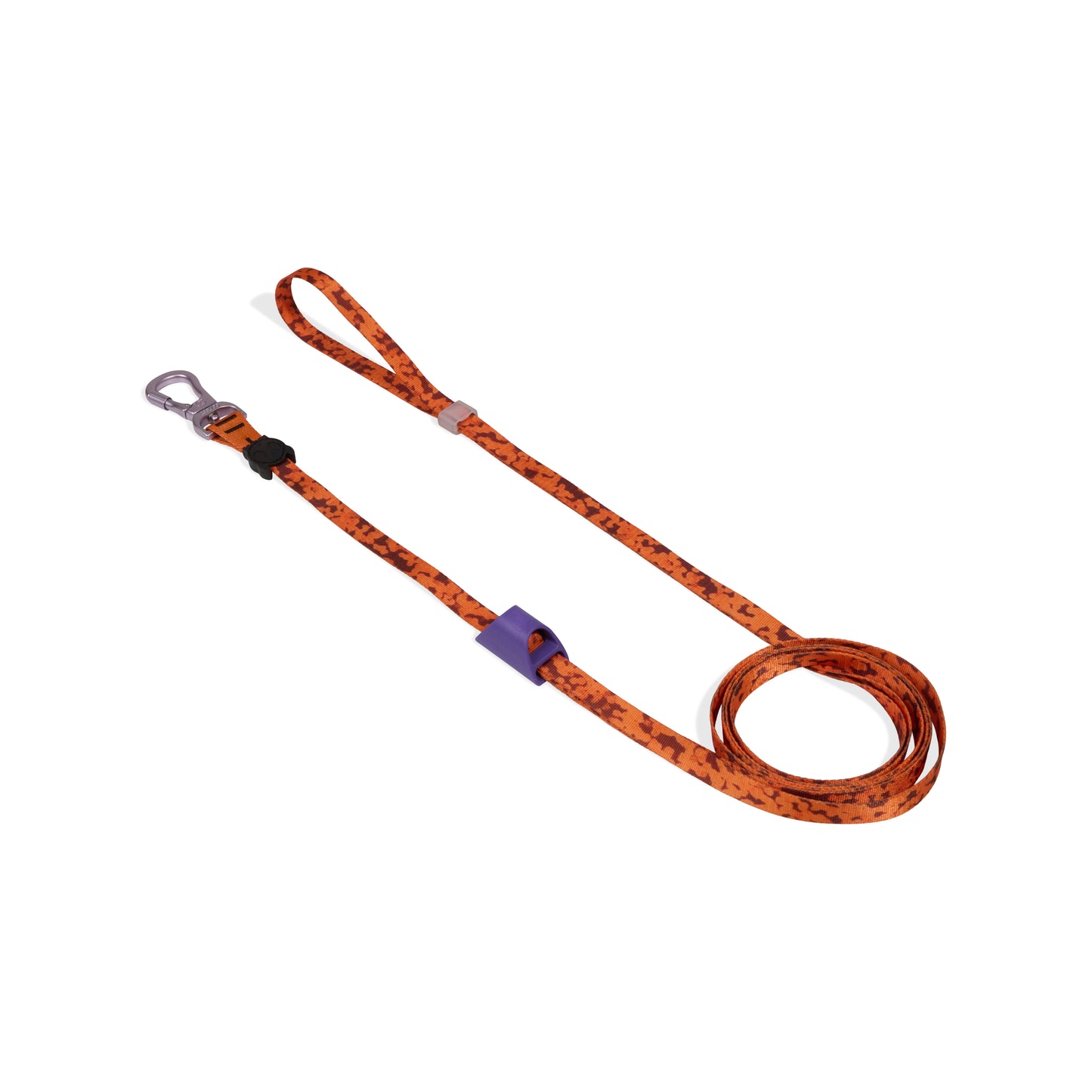 Leopard | Long Leash