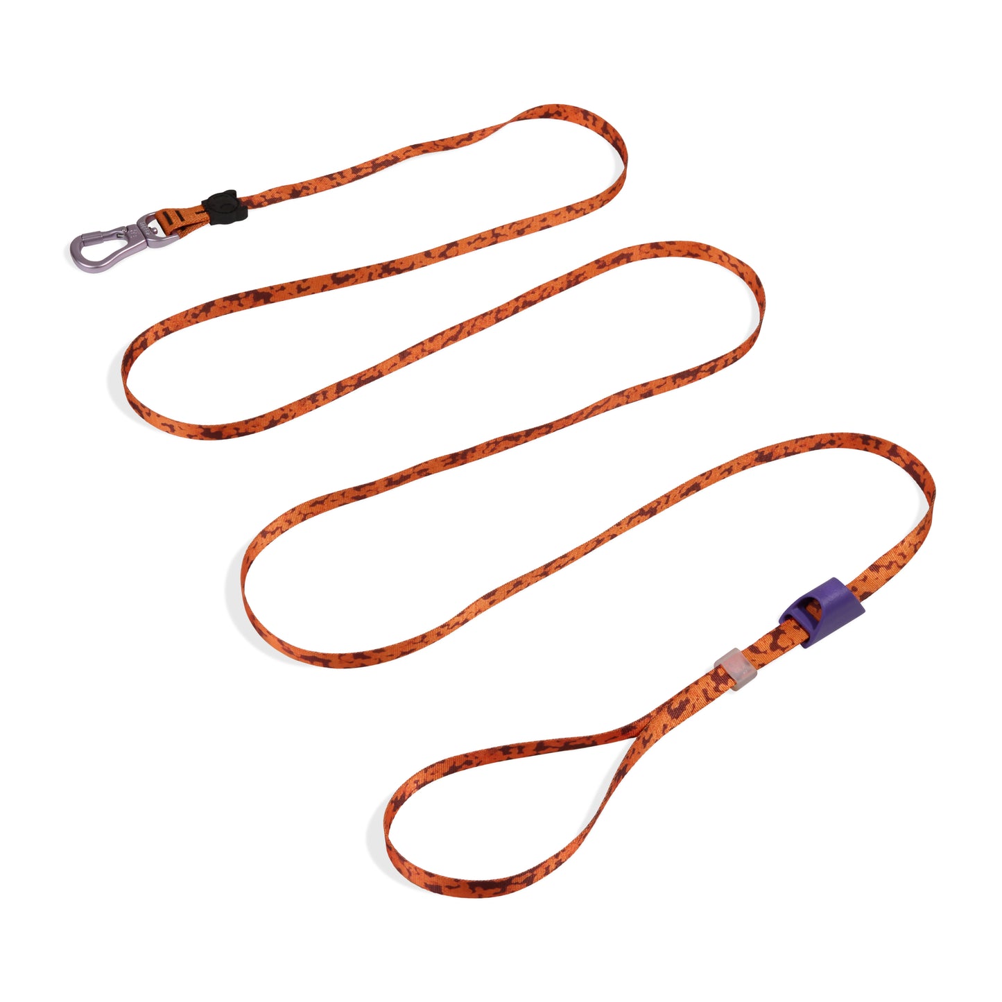 Leopard | Long Leash
