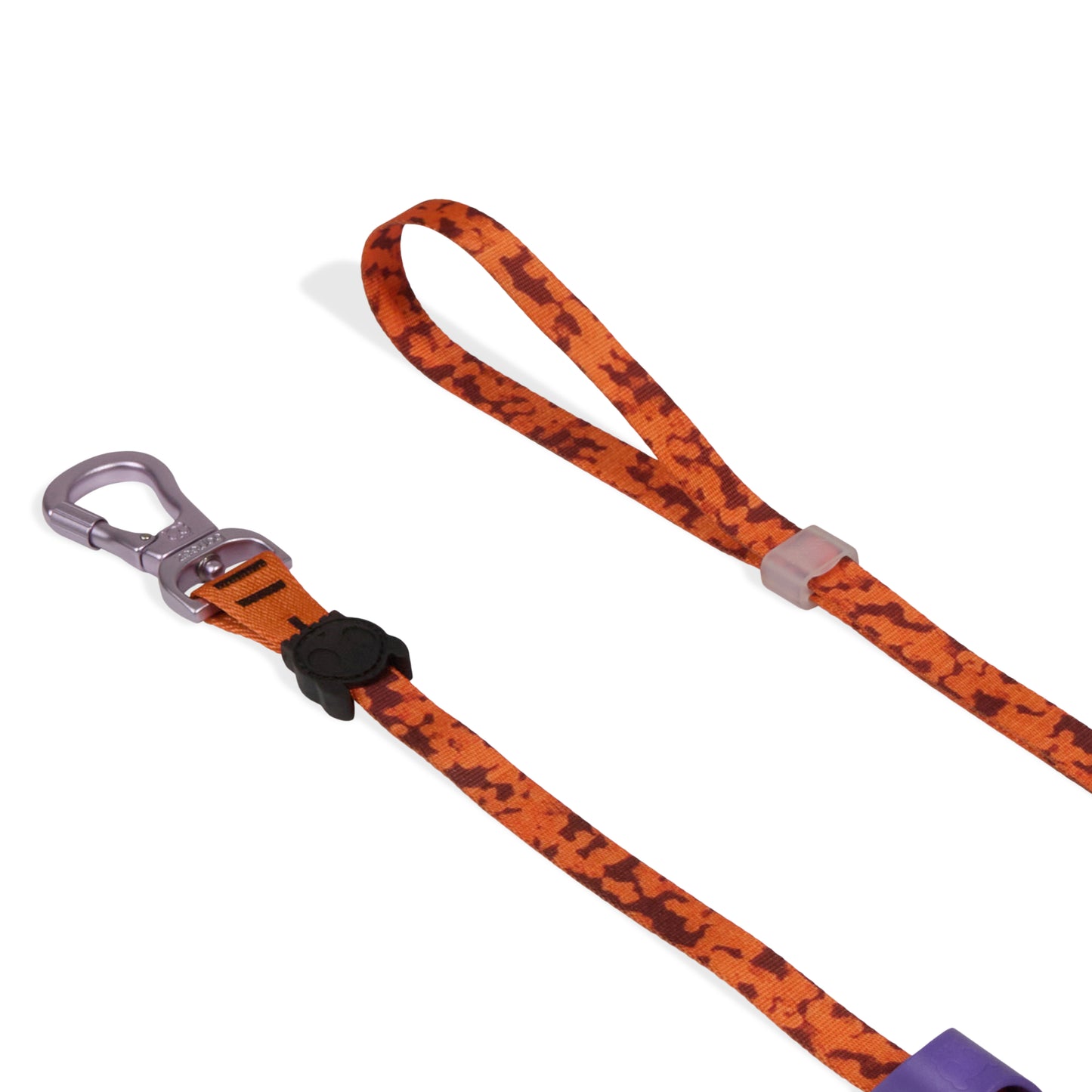 Leopard | Long Leash