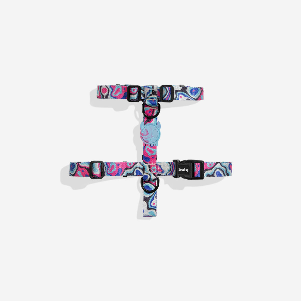 Blast | H-Harness