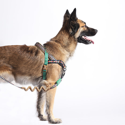 Travis | Softer Walk Harness
