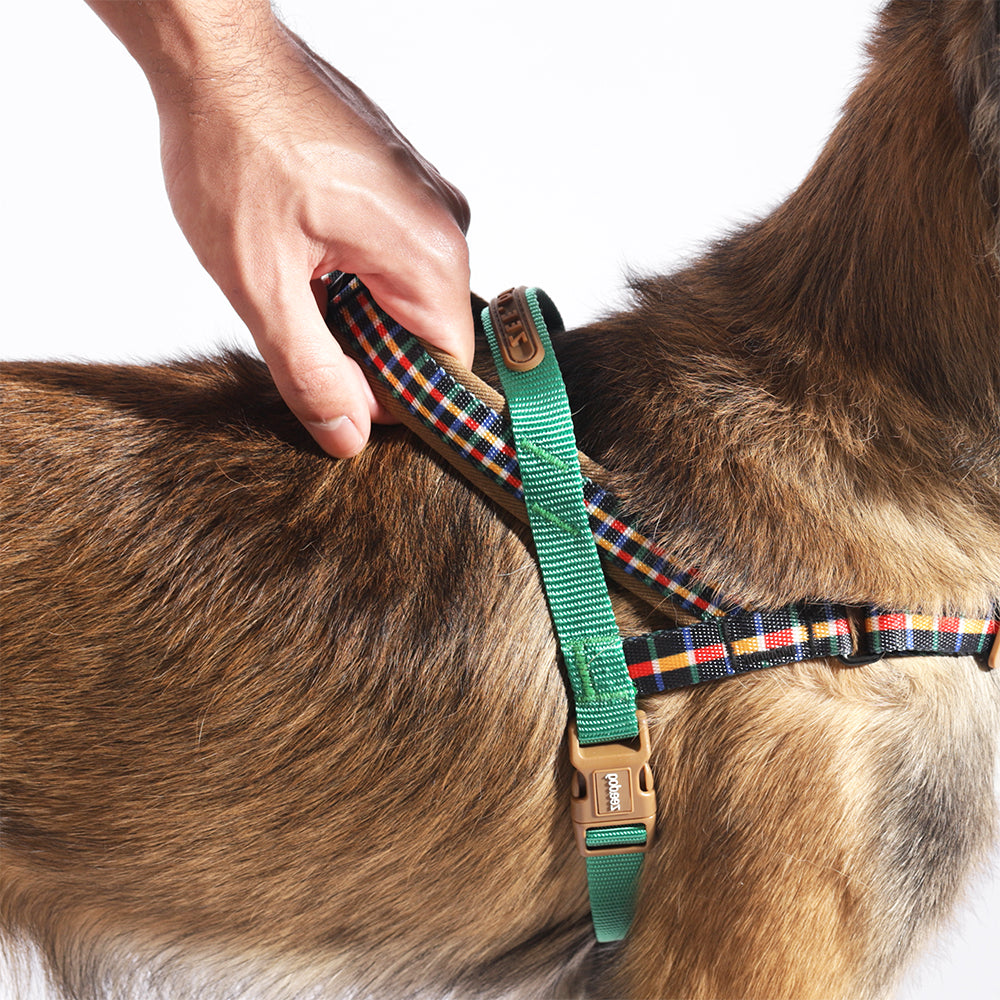 Travis | Softer Walk Harness