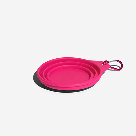 Go Bowl | Pink