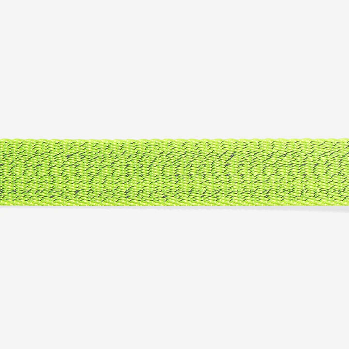 Nox Lumen | Collar