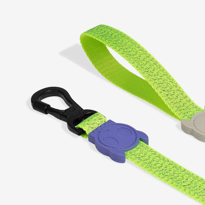 Nox Lumen | Leash