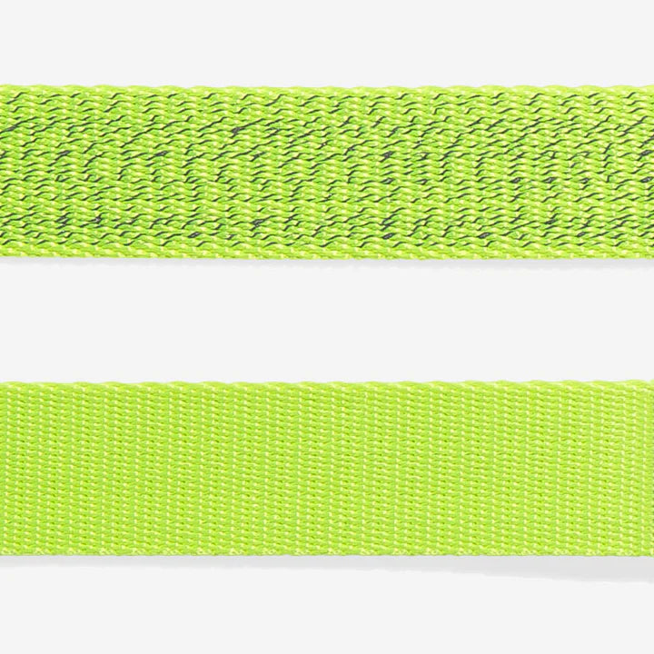 Nox Lumen | Leash