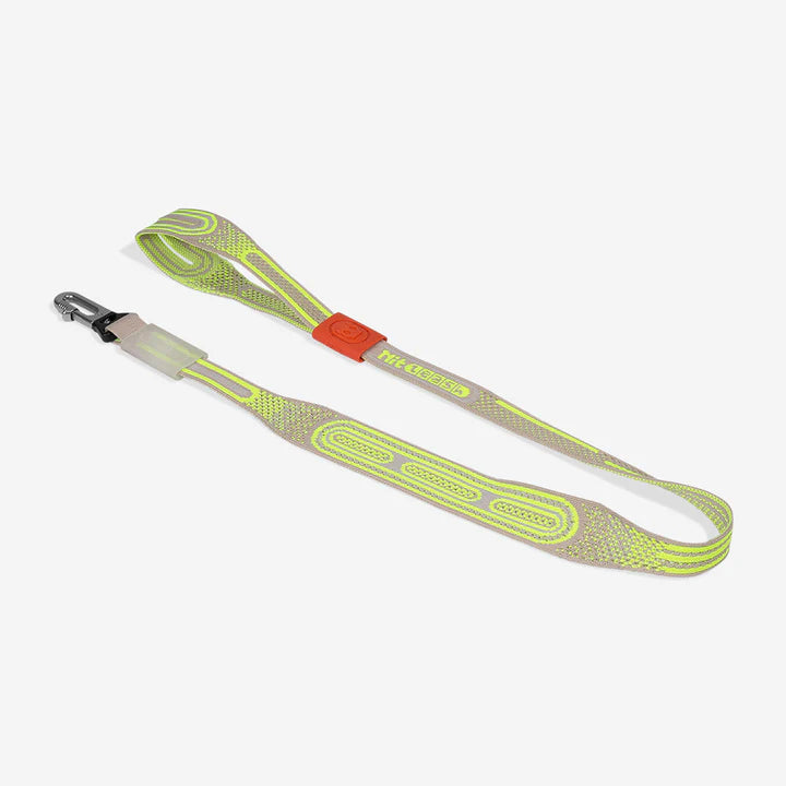 Gluten | Nit Leash