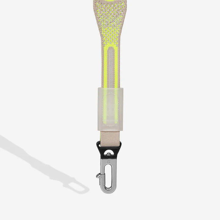Gluten | Nit Leash