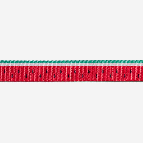 Classic Lola | Cat Harness with Leash