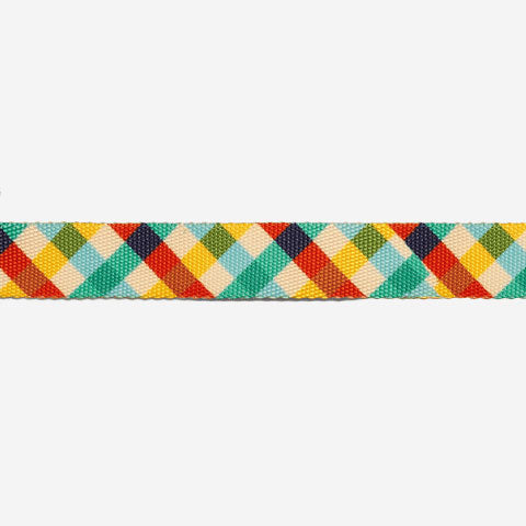 Classic Phantom | Cat Harness with Leash