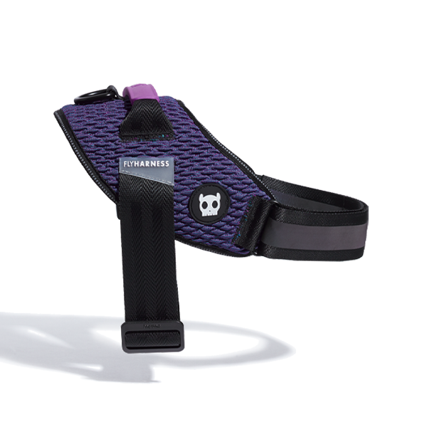 Wicked | FlyHarness