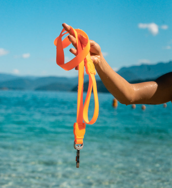 Classic Neopro Tangerine | Leash