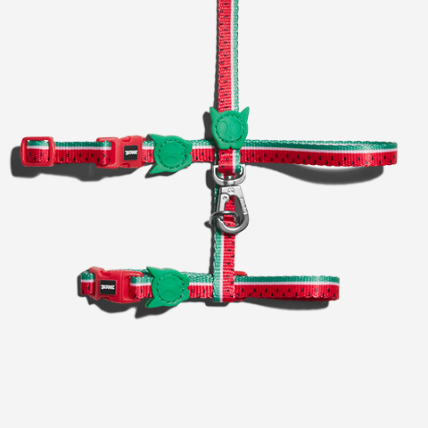 Lola | Cat Harness with Leash
