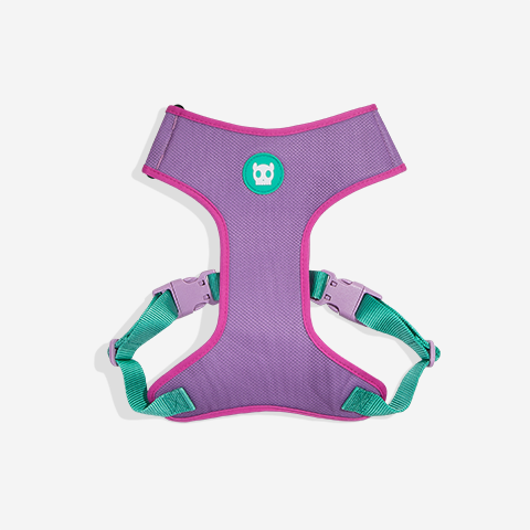 Aura | Adjustable Air Mesh Harness