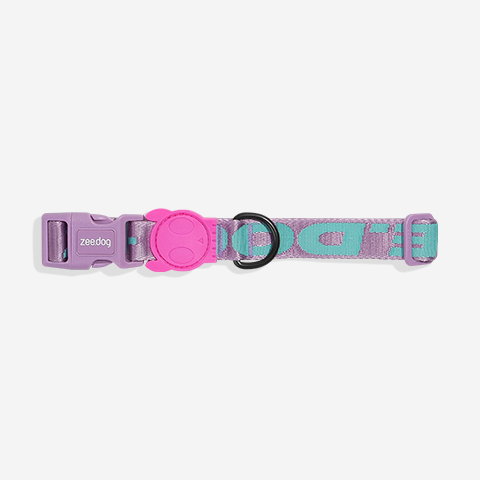 Classic Aura | Collar