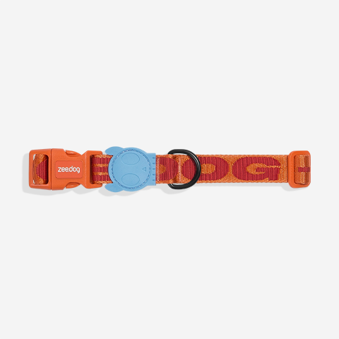 Gibson | Collar