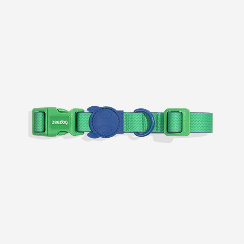 Classic Neopro Apex | Collar