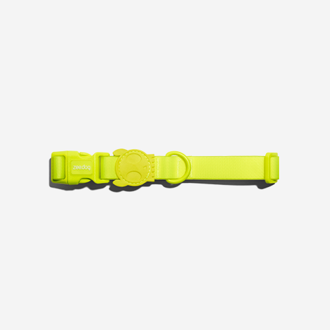 Neopro Lime | Collar