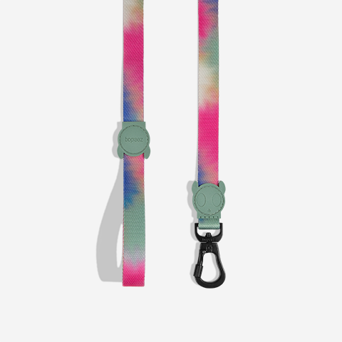 Bliss | Leash