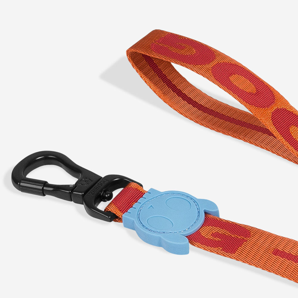 Classic Gibson | Leash