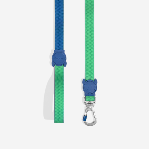 Classic Neopro Apex | Leash