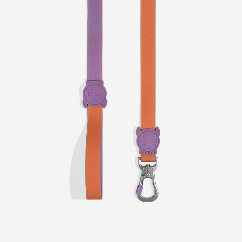 Classic Neopro Iris | Leash